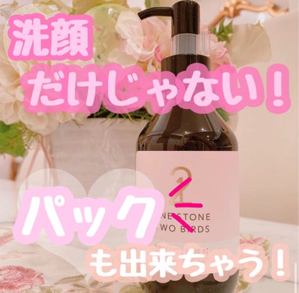 洗顔だけじゃない+パックもできる洗顔料/ONE STONE TWO BIRDS/その他洗顔料を使ったクチコミ(1枚目)