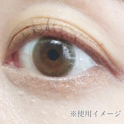 シルキーリキッドアイライナーWP/D-UP/リキッドアイライナーを使ったクチコミ(2枚目)