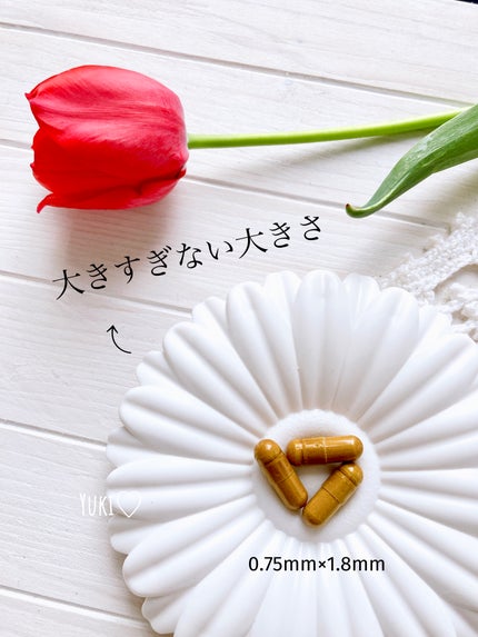 DRINKMANNER/trueurt/健康サプリメントを使ったクチコミ(5枚目)