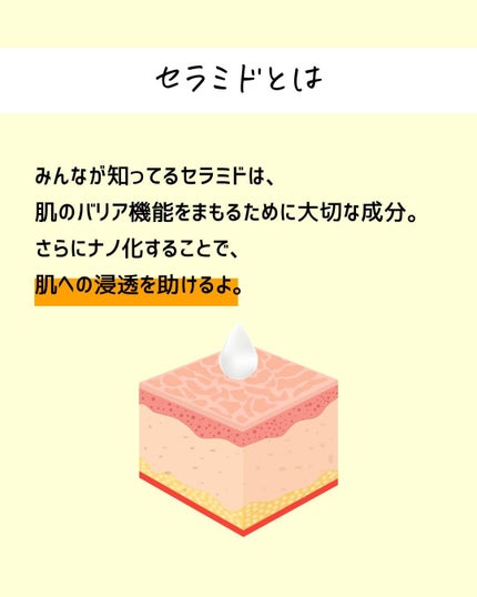 とまと村長@化粧品研究者 on LIPS 「SNSで人気のすみしょうさん🍅すみしょうさんは、元化粧品開発者..」(5枚目)