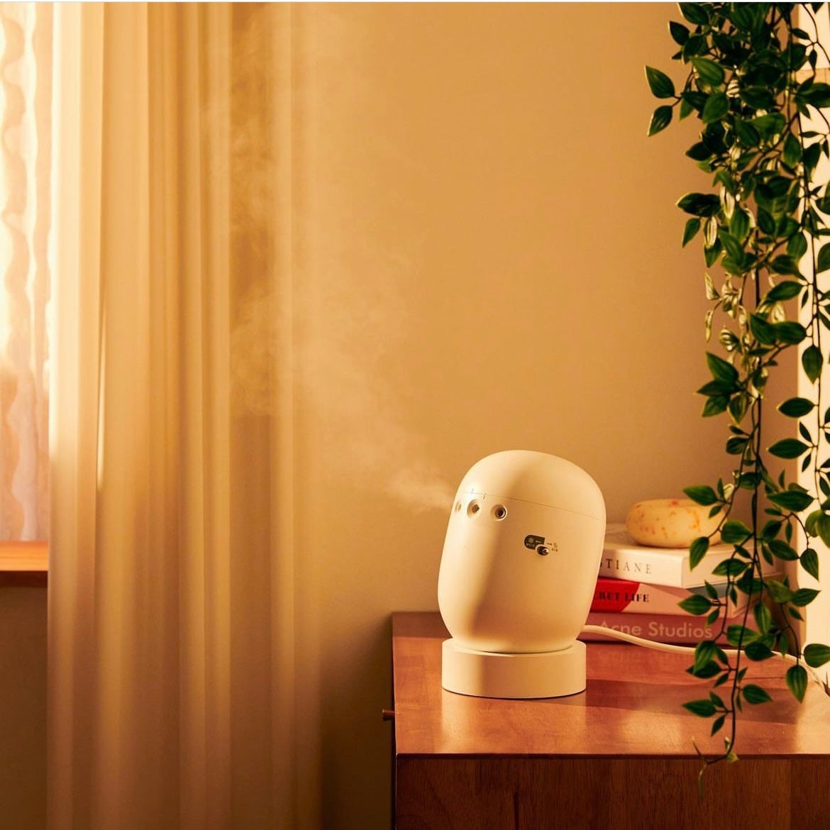 スキンライトセラピーII/Makeon/美顔器・マッサージを使ったクチコミ(3枚目)