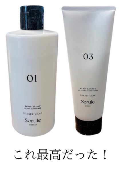 モイストソフナー 01ベーシックスカルプ/Sorule/市販シャンプーを使ったクチコミ(1枚目)
