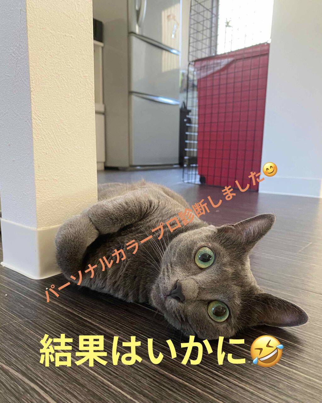 自己紹介/雑談/その他を使ったクチコミ（1枚目）