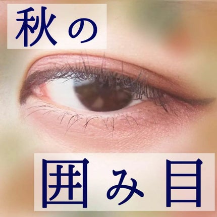 デザイニングブラウンアイズ/KATE/アイシャドウパレットを使ったクチコミ(1枚目)