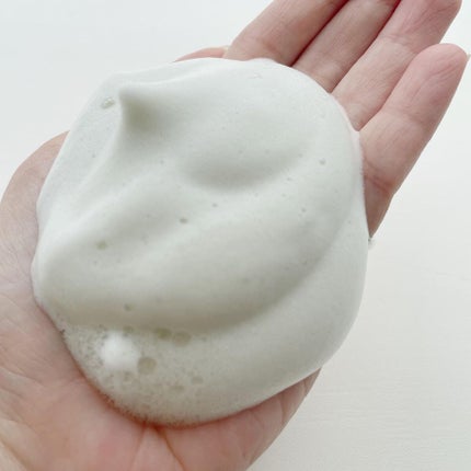 ワフードメイド 宇治抹茶酵素洗顔/pdc/洗顔パウダーを使ったクチコミ(4枚目)