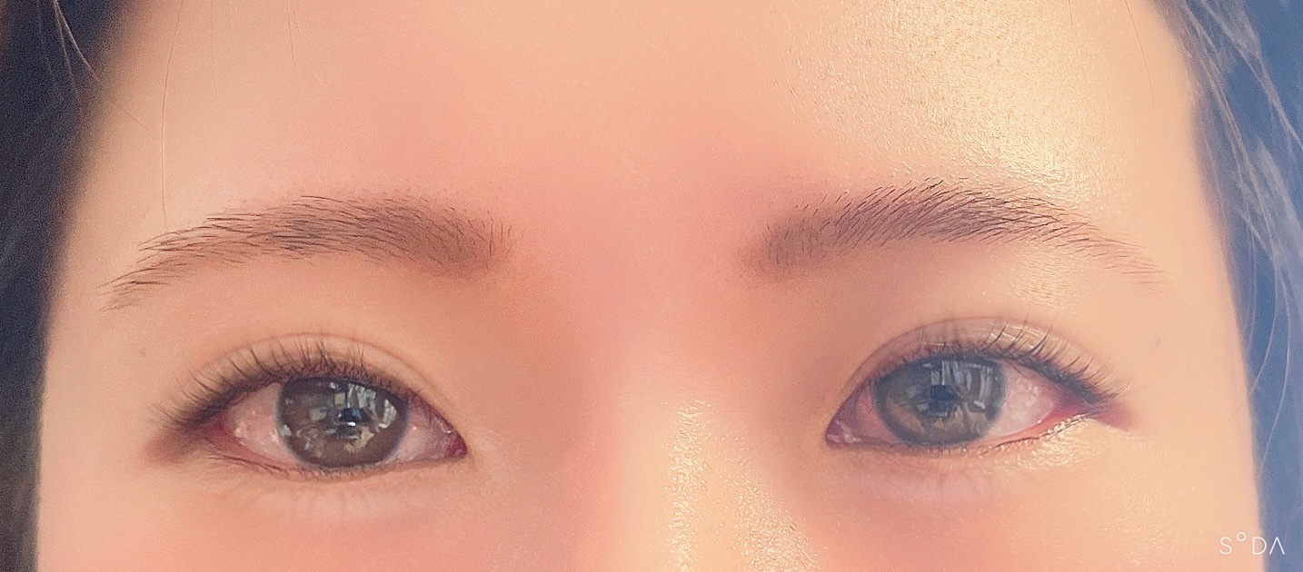 アイブロウワックス＆パウダー/CEZANNE/アイブロウを使ったクチコミ（2枚目）