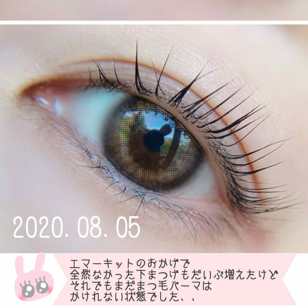 EMAKED(エマーキット)/水橋保寿堂製薬/まつげ美容液を使ったクチコミ(2枚目)