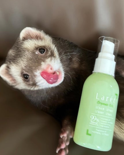 オーガニックオイル/Laret/ヘアオイルを使ったクチコミ(3枚目)