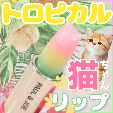 PAUL & JOE BEAUTE リップスティック トリートメント CSのクチコミ「ポルジョの猫ちゃんリップが
可愛すぎてポチってしまった😮‍💨
 
猫ちゃんの形をしたリップは
.....」（1枚目）