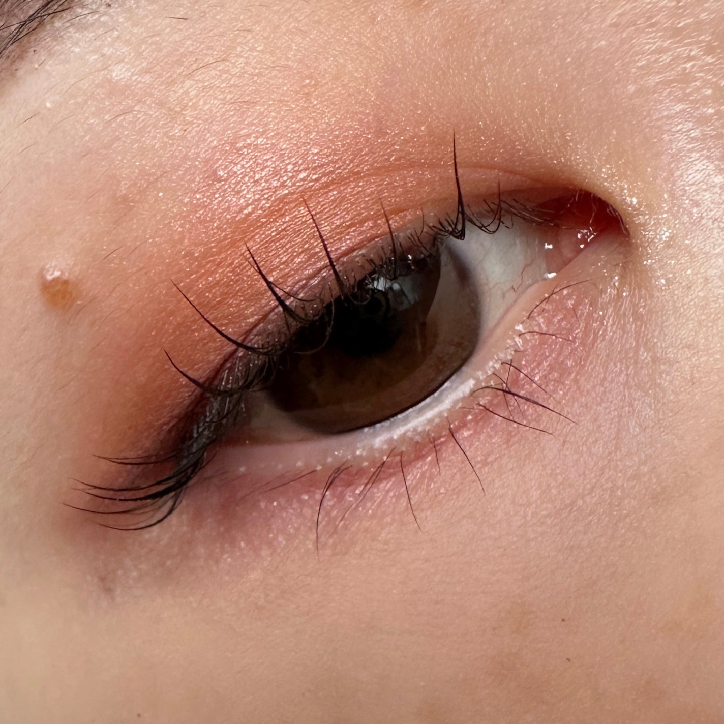 Eyeshadow 5 Colour Compacts/BYREDO/アイシャドウパレットを使ったクチコミ(3枚目)