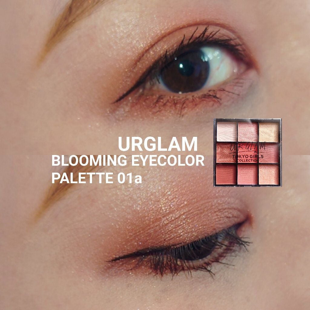 ブルーミングアイカラーパレット (TOKYO GIRLS COLLECTION)/U R GLAM/アイシャドウパレットを使ったクチコミ(1枚目)
