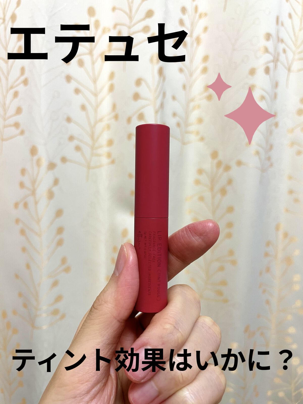 エテュセ リップエディション(ティントルージュ) 10 ヌーディローズ/ettusais/リップティントを使ったクチコミ（1枚目）