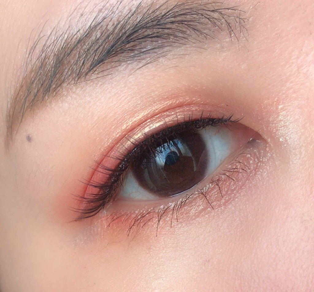 EyeShadow Palette Petit PRO/VISEART/アイシャドウパレットを使ったクチコミ(2枚目)