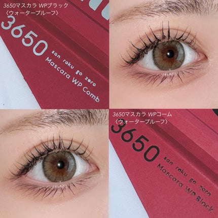マスカラ/3650/マスカラを使ったクチコミ(4枚目)