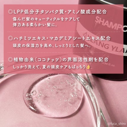 プロテイントリートメント/KUNDAL/コンディショナー単品を使ったクチコミ(2枚目)
