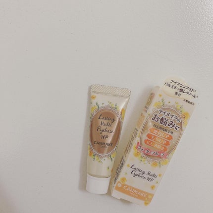 ラスティングマルチアイベース WP/キャンメイク/アイシャドウベースを使ったクチコミ(1枚目)