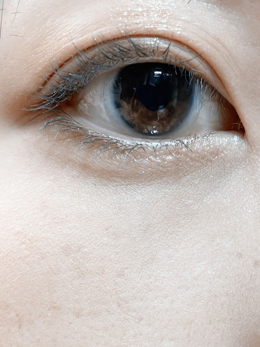 エテュセ アイエディション（マスカラベース）LE 04.ナイトグリーン/ettusais/マスカラ下地を使ったクチコミ（2枚目）