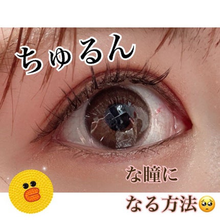 エバーカラーワンデーナチュラル モイストレーベルUV/エバーカラー/ワンデー(1DAY)カラコンを使ったクチコミ(1枚目)