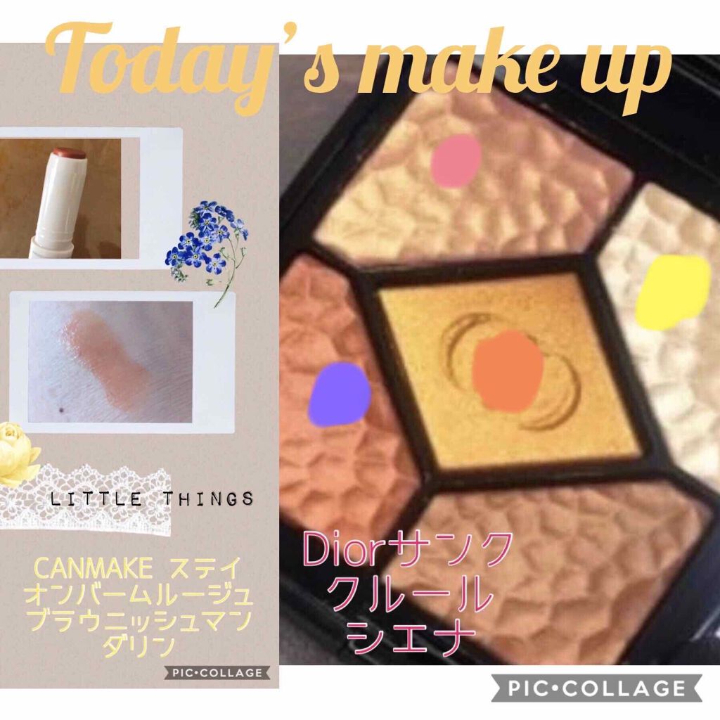 サンク クルール<ワイルド アース＞/Dior/アイシャドウパレットを使ったクチコミ（1枚目）