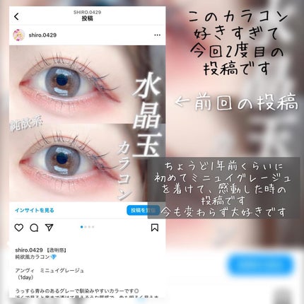 envie 1day ミニュイグレージュ/envie/ワンデー(1DAY)カラコンの画像