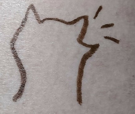 エスポルールカラーアイライナー ダークブラウン/エスポルール/リキッドアイライナーを使ったクチコミ(2枚目)