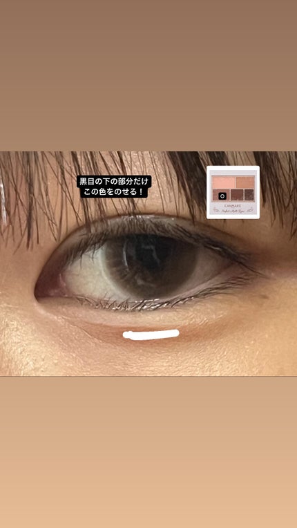 パーフェクトマルチアイズ/キャンメイク/アイシャドウパレットを使ったクチコミ(6枚目)