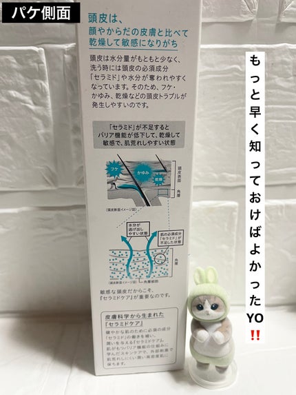 頭皮保湿ローション/キュレル/頭皮ローションを使ったクチコミ(2枚目)