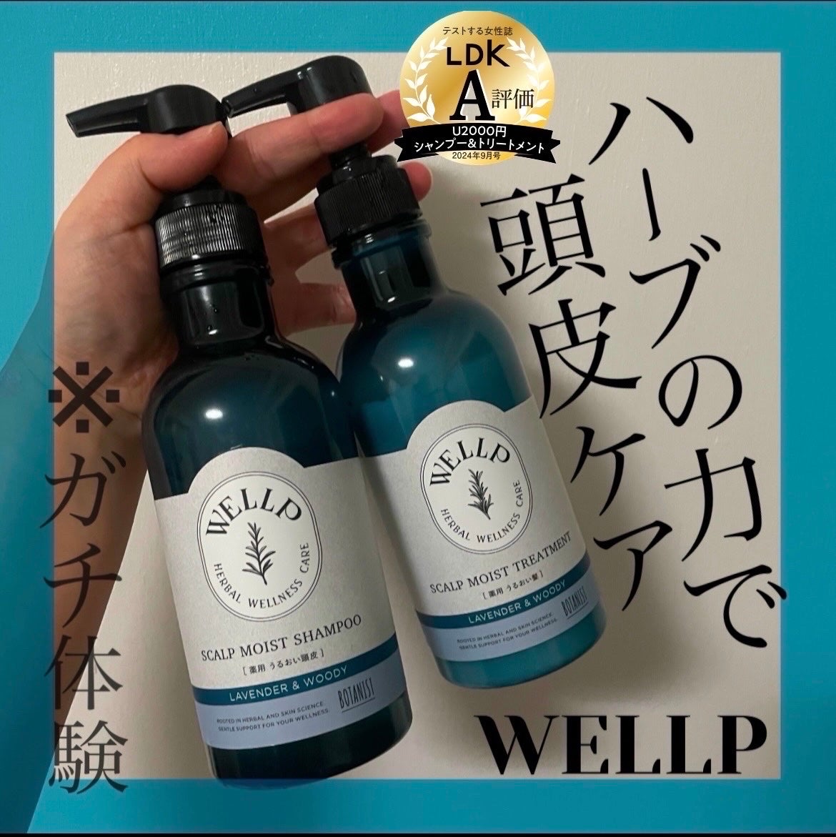 薬用スカルプケアシャンプー/トリートメント モイスト/WELLP/市販シャンプーを使ったクチコミ(1枚目)