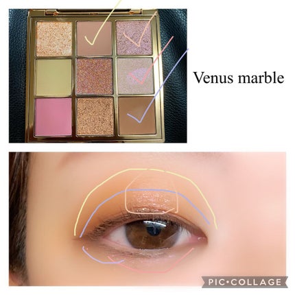 VenusMarble 9色アイシャドウパレット/Venus Marble/アイシャドウパレットを使ったクチコミ(1枚目)