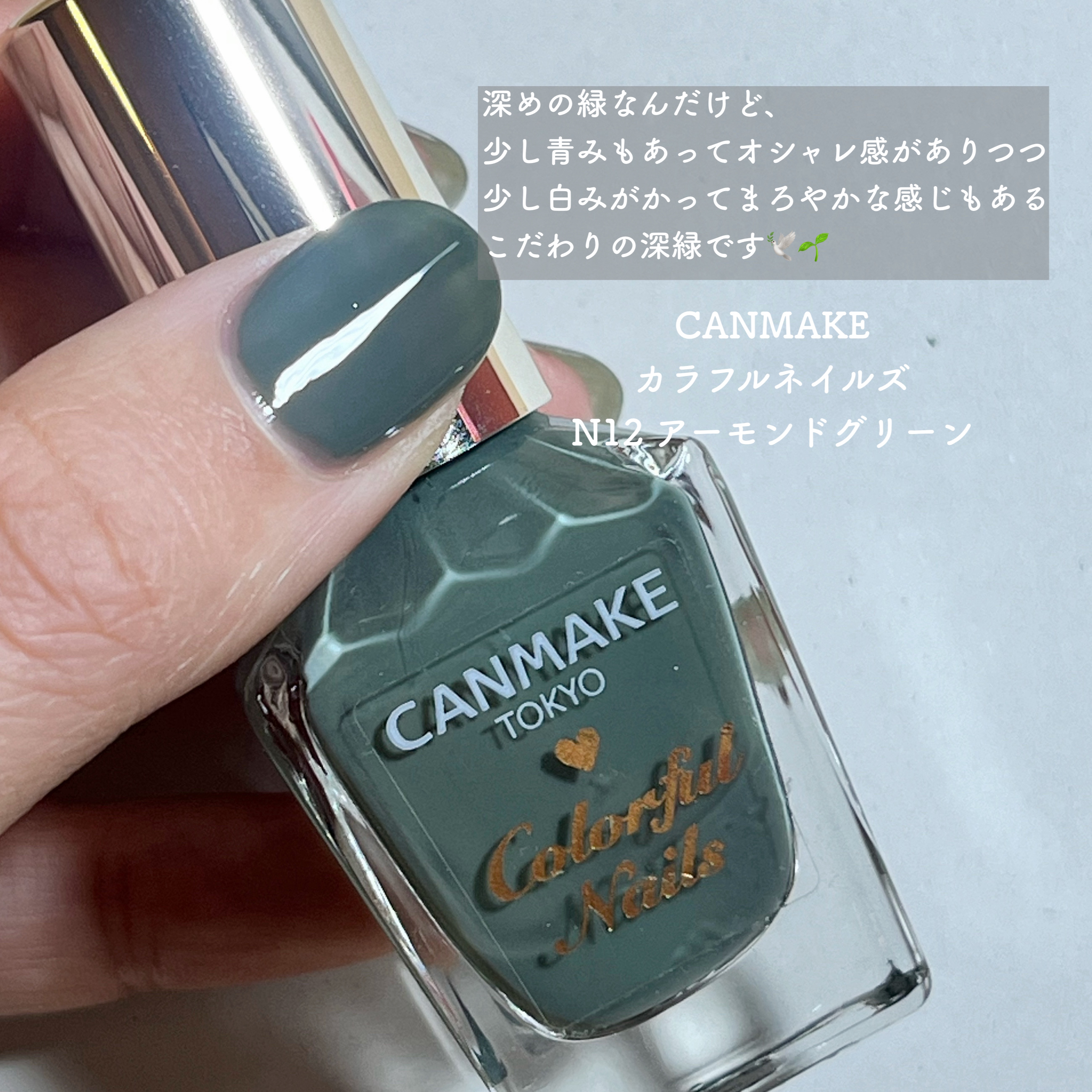 カラフルネイルズ N12 アーモンドグリーン/キャンメイク/マニキュアを使ったクチコミ（2枚目）