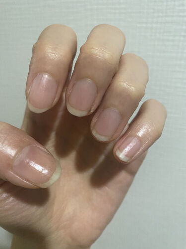 試してみた シア ネイルオイル L Occitane Lips
