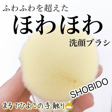 リッチホイップブラシ/SHOBIDO/その他スキンケアグッズを使ったクチコミ（1枚目）