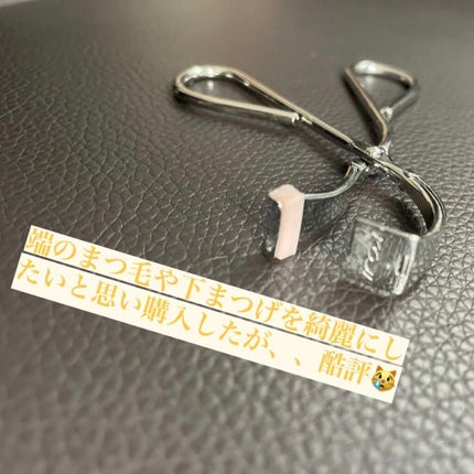 No.100 アクセントカーラー/コージー/ビューラーを使ったクチコミ(2枚目)