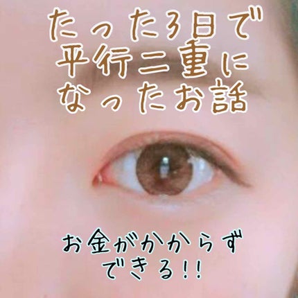 を使ったクチコミ(1枚目)