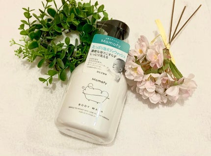 たっぷり泡ボディウォッシュ/Mamafy/ボディソープを使ったクチコミ(1枚目)