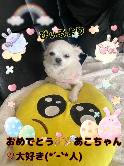 ミニネイル/パラドゥ/マニキュアを使ったクチコミ(6枚目)