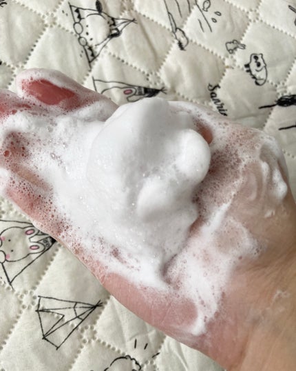 ホイップドヴィーガンパッククレンザーディスカバリーキット/WHIPPED/スキンケアキットを使ったクチコミ(4枚目)