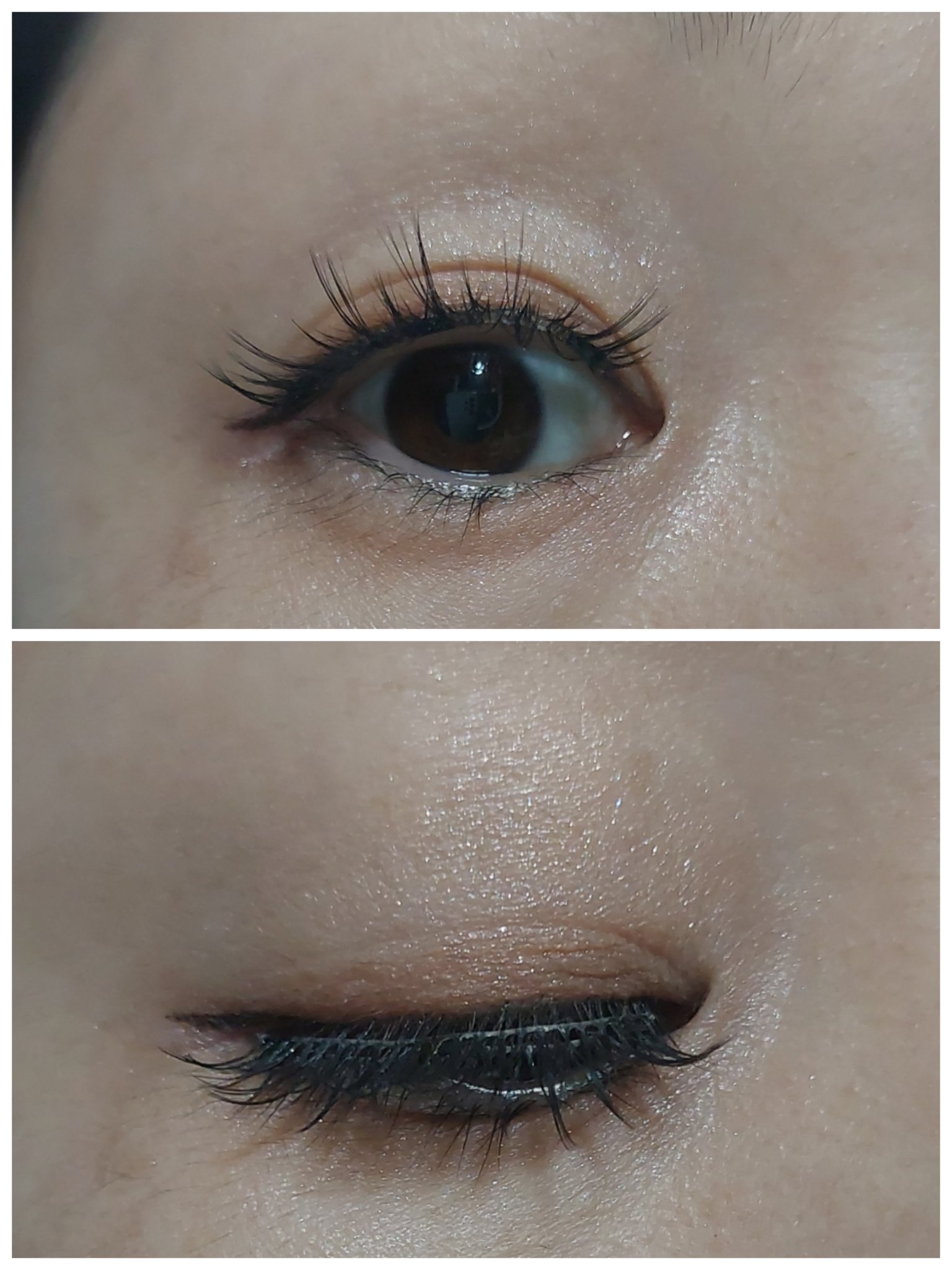 マグネット式つけまつ毛/SHEIN/つけまつげを使ったクチコミ（2枚目）