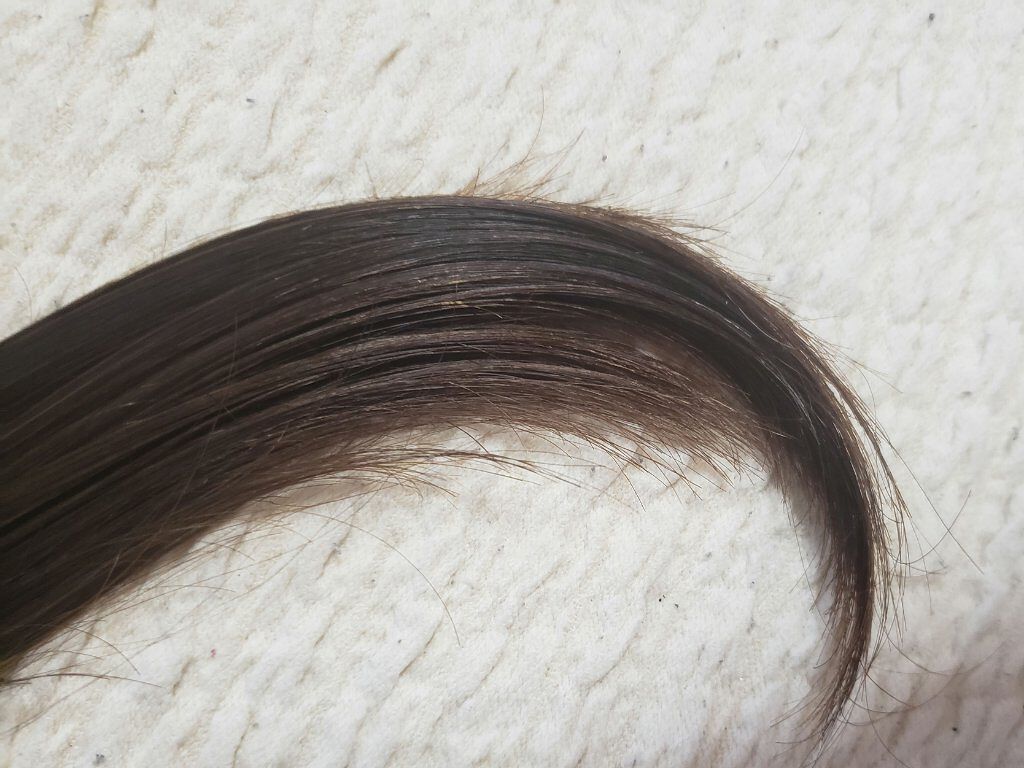 シースルーグロスシャンプー/トリートメント/rasica/市販シャンプーを使ったクチコミ(7枚目)