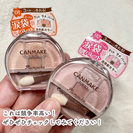 プランぷくコーデアイズ/キャンメイク/パウダーアイシャドウを使ったクチコミ(10枚目)