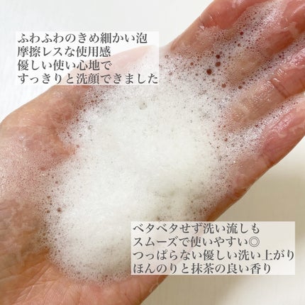 グリーンティー&エンザイムパウダーウォッシュ/By Wishtrend/洗顔パウダーを使ったクチコミ(4枚目)