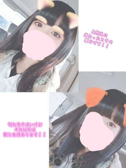 オイルインシャンプー/オイルインコンディショナー(リッチ&リペア)/ディアボーテ/市販シャンプーを使ったクチコミ(2枚目)