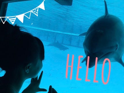 ã䜿ã£ãã¯ãã³ãïŒ1æç®ïŒ