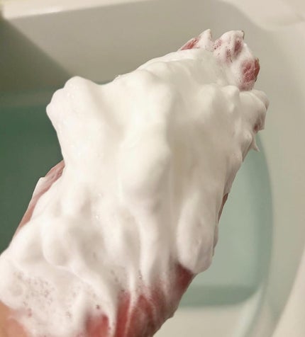 ジェ・ラン ザ・ウォッシュ/JELLAN/洗顔フォームを使ったクチコミ(2枚目)