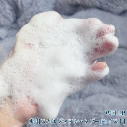 薬用スカルプケアシャンプー/トリートメント モイスト/WELLP/市販シャンプーを使ったクチコミ(2枚目)