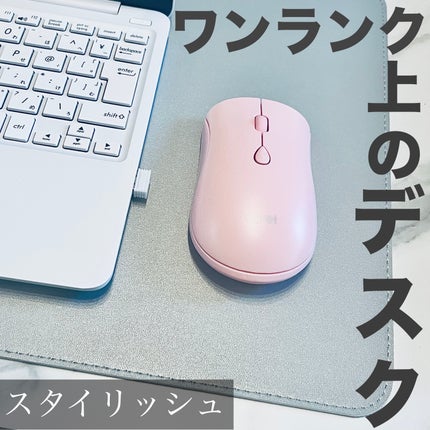 egret リバーシブルレザー/egret/その他を使ったクチコミ(1枚目)