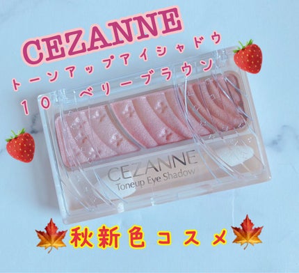 トーンアップアイシャドウ/CEZANNE/アイシャドウパレットを使ったクチコミ(1枚目)