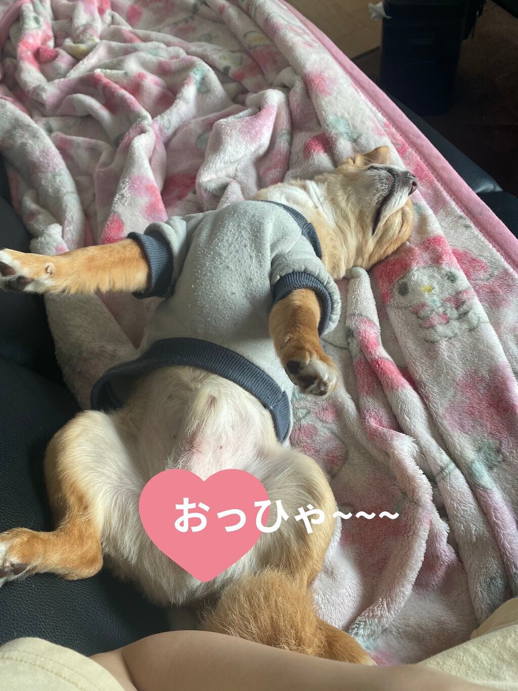 アイ カラー クォード C /TOM FORD BEAUTY/アイシャドウパレットを使ったクチコミ(8枚目)