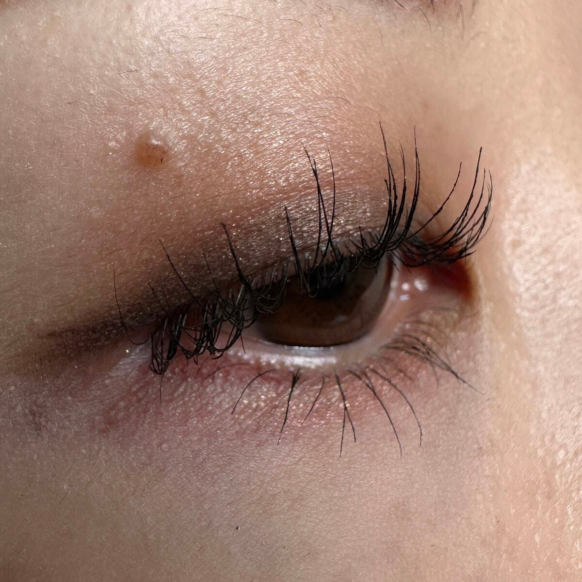 パーフェクトエクステンション マスカラ/D-UP/マスカラを使ったクチコミ(3枚目)