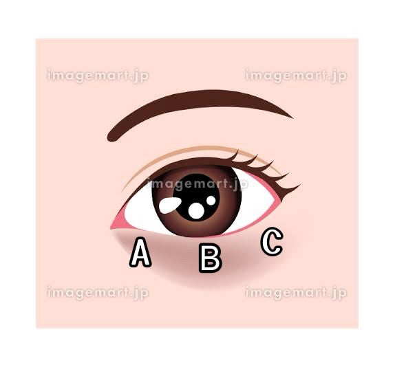 カラーミキシングコンシーラー/キャンメイク/パレットコンシーラーを使ったクチコミ(3枚目)